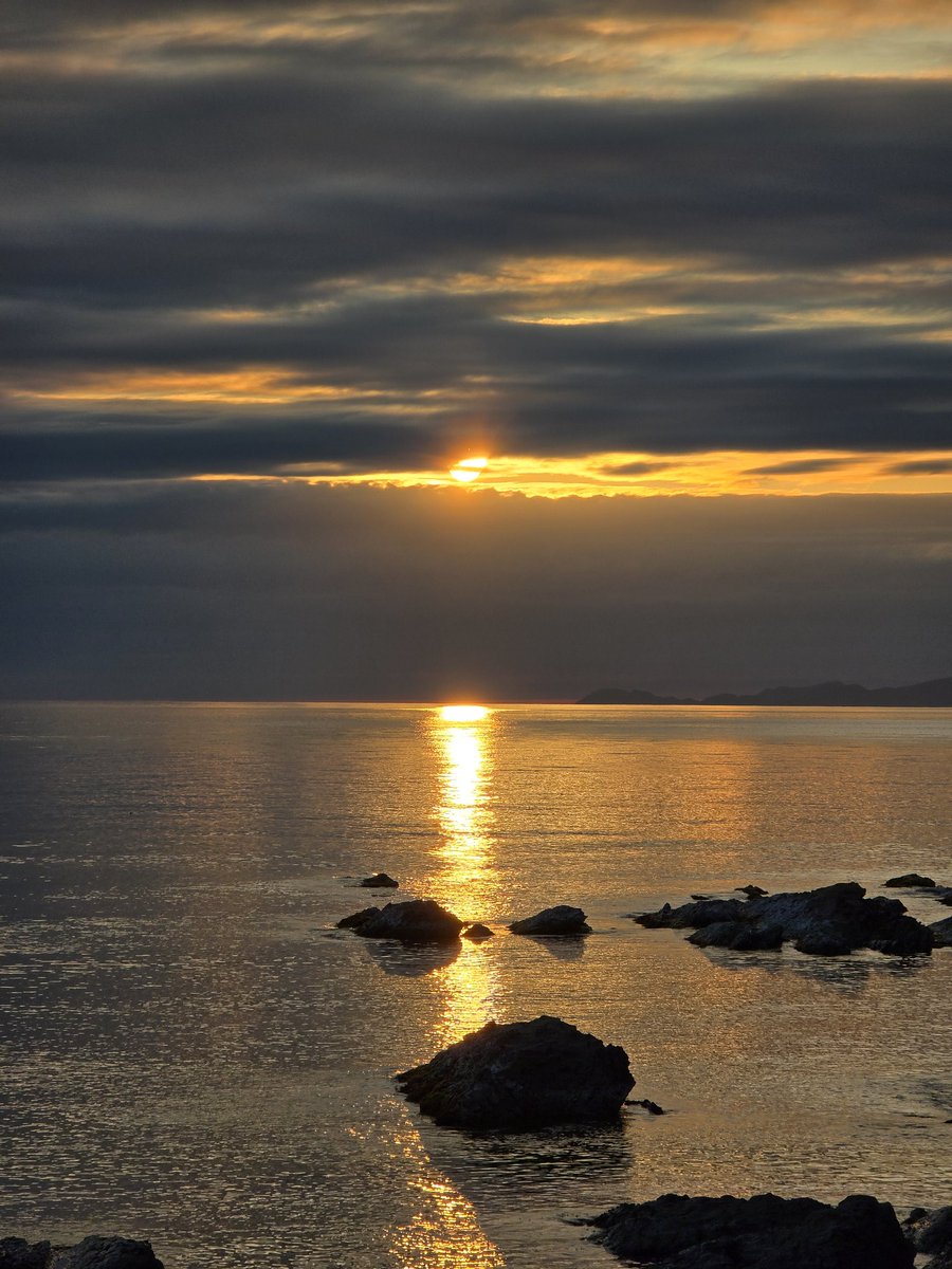 izumo_Communication Four Seasons tweet media