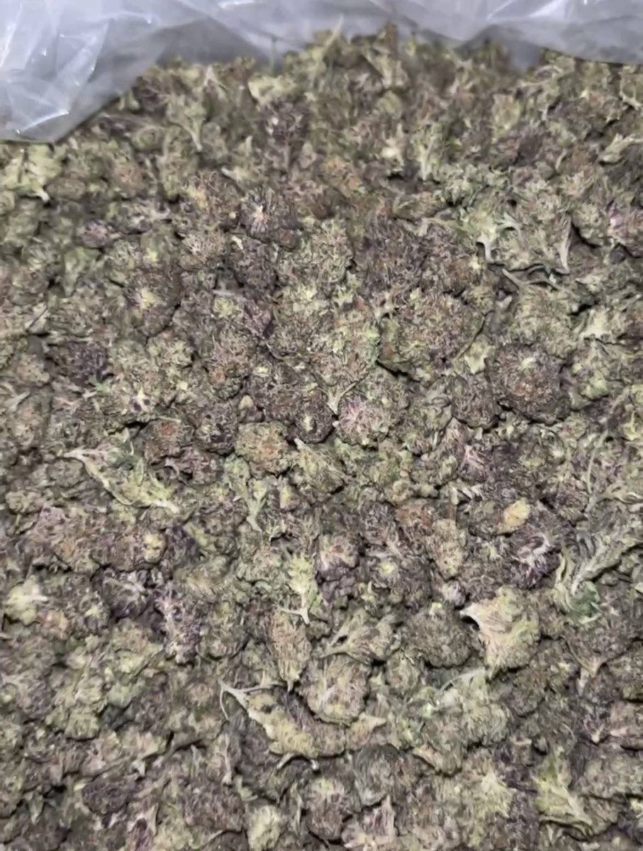 Rollingloud18's tweet photo. Purple nerds🔥

3.5 $35 
7 $45
14 $85 
28 $135 https://t.co/BVIRqwqcvL