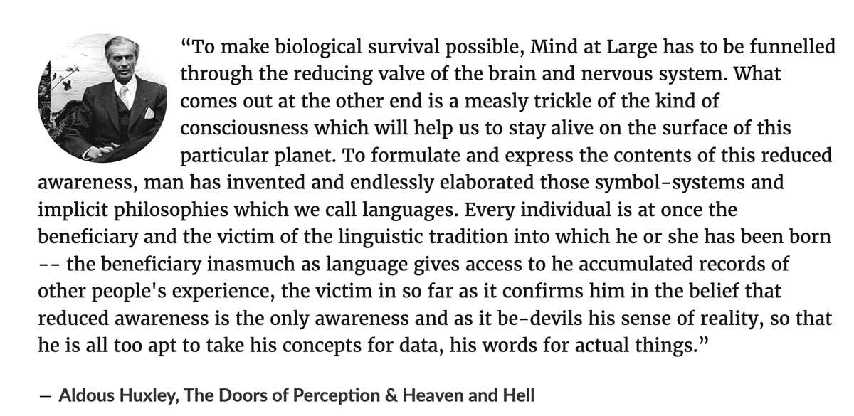 Image describing paragraph