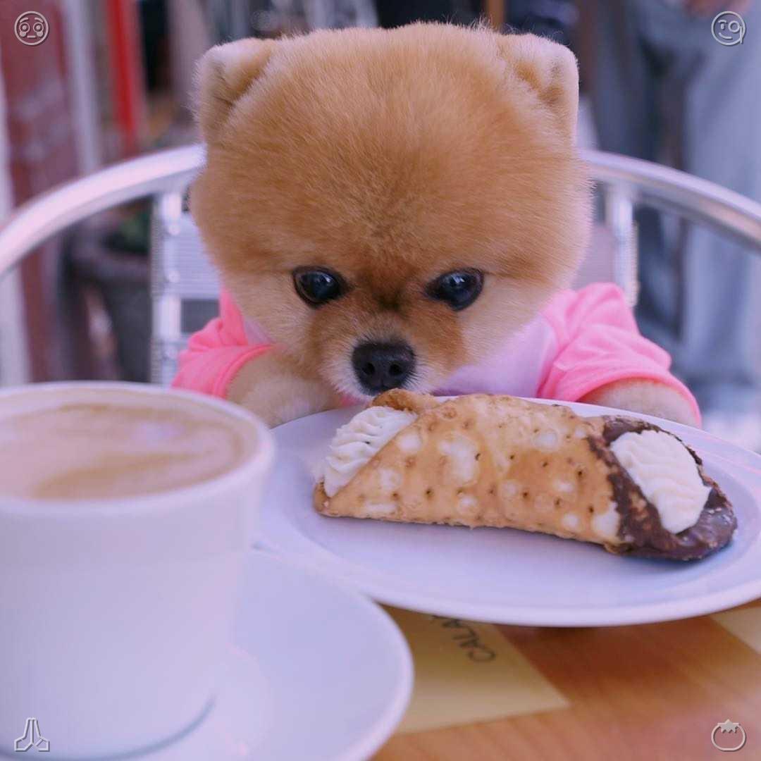 Dope_Legend's tweet photo. Night snacks serve as the perfect transition between a busy day and rest. Delicious food eases daytime exhaustion and prepares one for sleep, providing a gentle sense of comfort and relief. https://t.co/aUNzGV8pTV