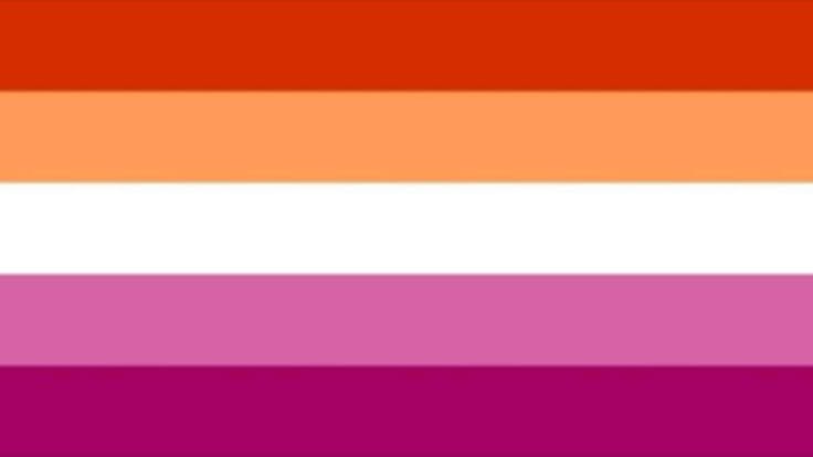 emmasarchivee's tweet photo. i was gonna replace the last stripe of the lesbian flag with B00B69 as a joke but its literally the same color hello https://t.co/MYraDQ9ZAC
