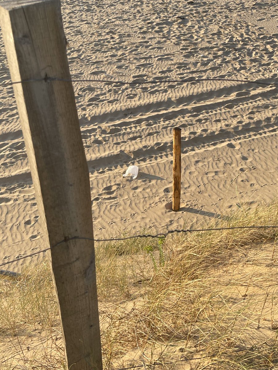 AmywhereWorld's tweet photo. Plage interdite aux chiens de 9h à 19h entre juin et septembre pour éviter la "pollution" de l'eau...
Balade sur la plage avec mon chien à 20h40 : https://t.co/VafTlJJfLu