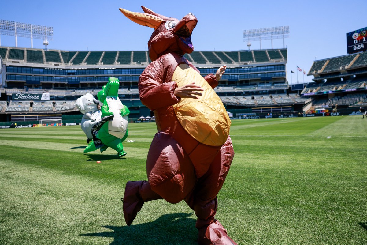 oaklandrootssc's tweet photo. Matilda the Kangaroo wins the race in just 6.7 seconds! 🦘
Big love to our family at @oakzoo for bringing out our furry friends out to play.
#OAKvBHM | #KnowYourRoos https://t.co/0gDPySYmZu