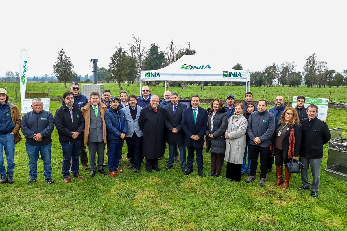 MinagriCL's tweet photo. 🐄🚜 Fortalecemos el desarrollo del sector lácteo con innovación, sostenibilidad y tecnología.

El ministro de Agricultura, Jaime Campos, junto a la directora (s) de @ODEPA, Daniela Acuña y los seremis de @MinagriLosLagos y @Minagri_LosRios visitaron la Plataforma de Lechería Sostenible de INIA Remehue, para ver en terreno distintas soluciones para fortalecer la resiliencia de la producción lechera frente al cambio climático, mediante el manejo de praderas, la mitigación de emisiones y tecnologías de ordeña robotizada.

Estas iniciativas reflejan el compromiso de @iniachile con una producción sostenible y más competitiva, de la mano de la investigación y la transferencia tecnológica, impulsando el desarrollo y crecimiento del sector lácteo de nuestro país.