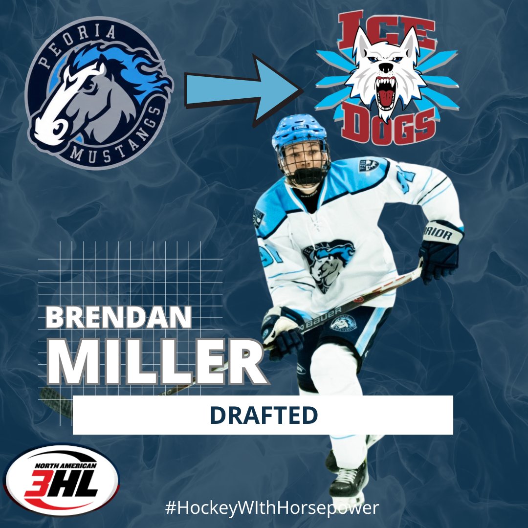 PeoriaMustangs's tweet photo. 🚨🚨DRAFT ALERT🚨🚨

Mustangs forward Brendan Miller drafted by the Fairbanks Ice Dogs of the NAHL...

#HockeyWithHorsepower

Congrats Brendo...

Read more here... 🔗⬇️

https://t.co/cNTai45Q0e https://t.co/1txDxWEQUm