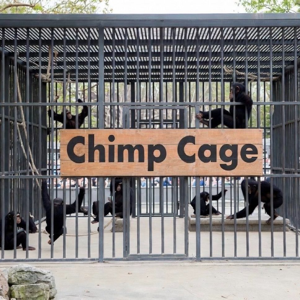 CDPTAKE3's tweet photo. @ClownWorld we should just lock the chimps up so the rest of us can buy what we need https://t.co/qgrYZBfLMQ