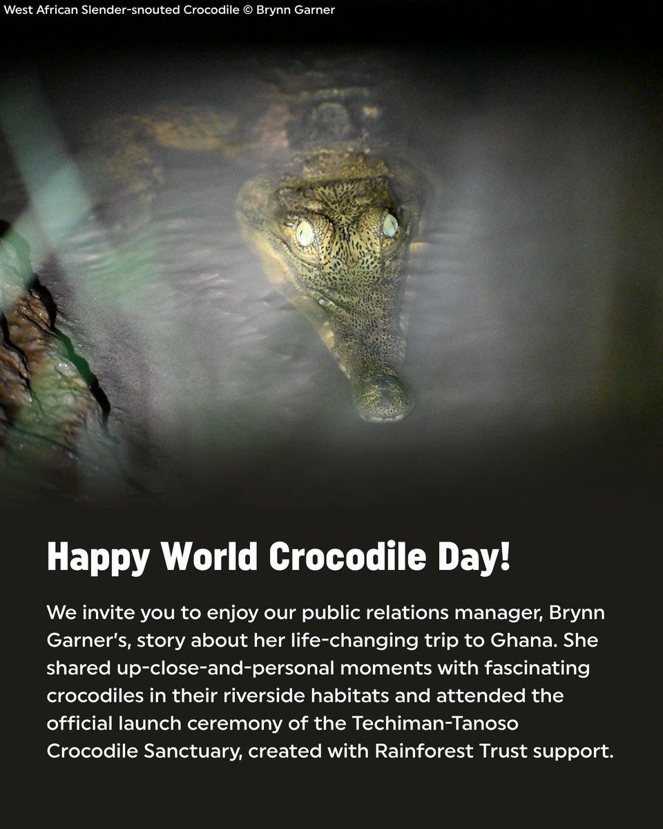 RainforestTrust tweet picture
