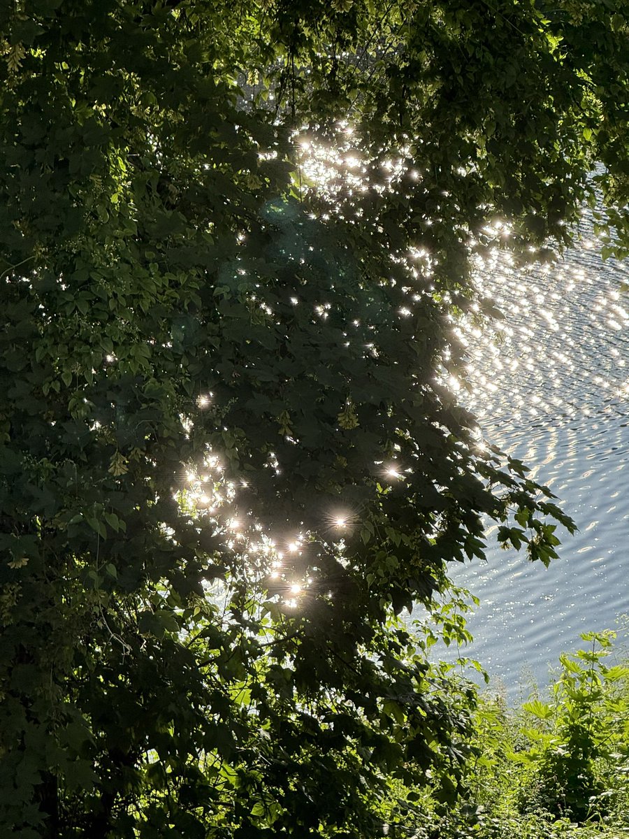 a_wallflowerrr's tweet photo. pictures i took today https://t.co/zGDCKmzkoB