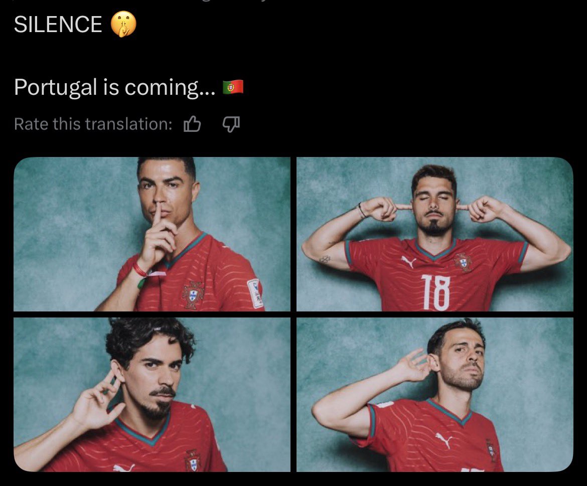 Ski__69's tweet photo. @Cristiano @selecaoportugal https://t.co/RReMdWgwqZ