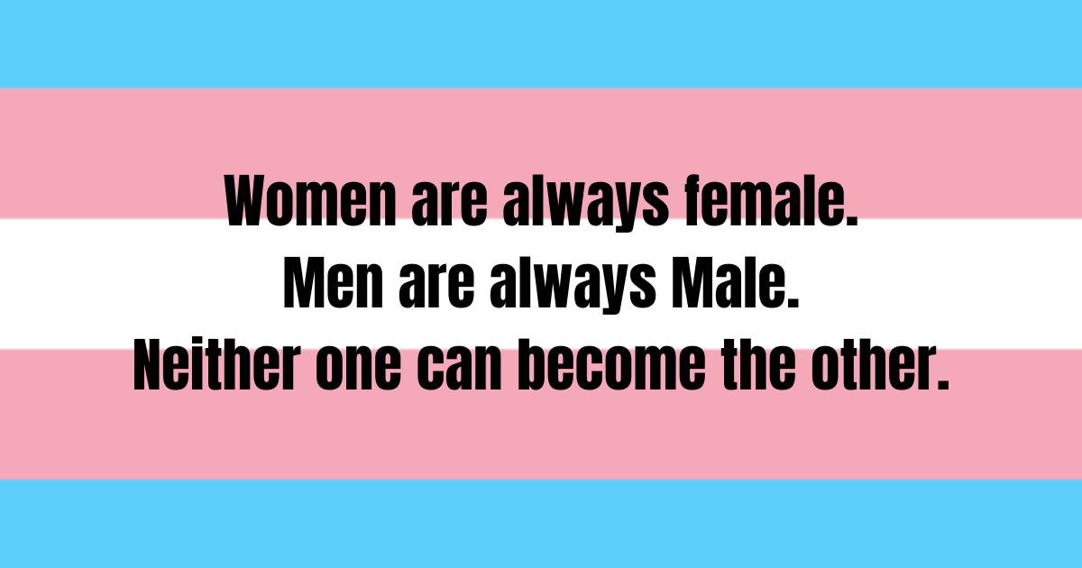 The Devine Feminine tweet media
