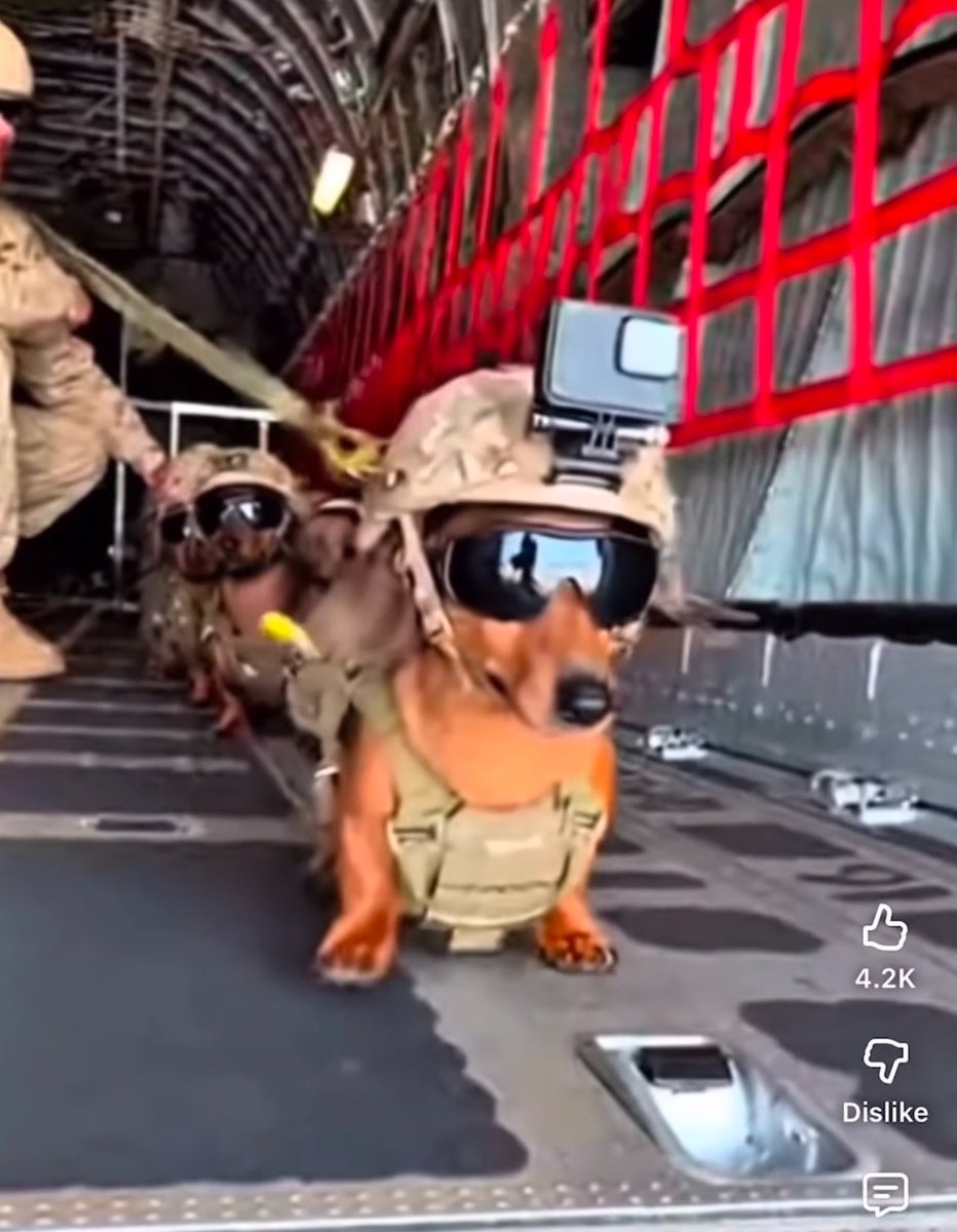 Yargonquin's tweet photo. @NickJFuentes we deed it! https://t.co/jMQad39Bbx