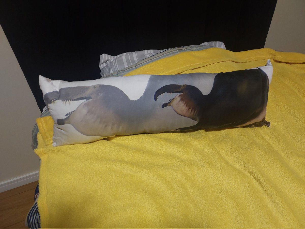 PinkyFl0yd's tweet photo. Meu primeiro body pillow 😍😍😍, muito obrigado @jusecarlito3 e @sapo38805568 https://t.co/DWSQz6FSPE