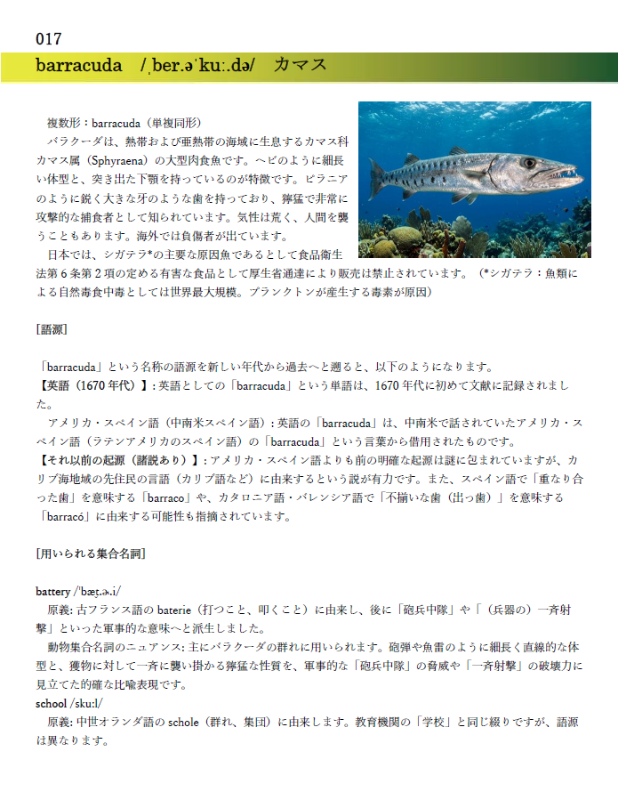 動物関連集合名詞シリーズ（017）】 barracuda /ˌber.əˈkuː.də/ カマス