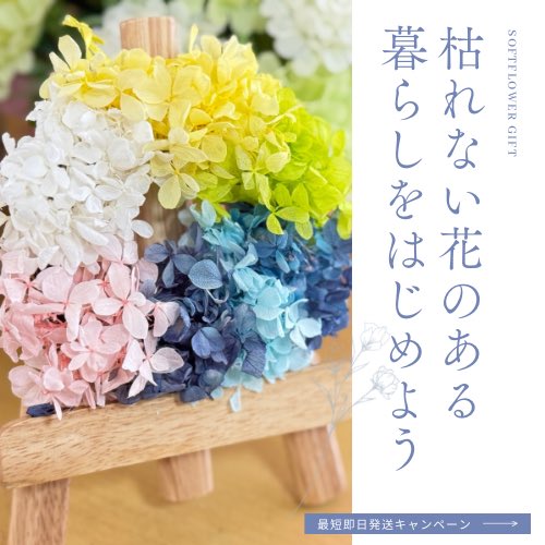 プリザーブドフラワー