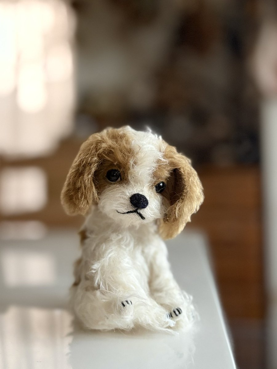 ゆっち mironuts𓀫 (@mironuts) / Posts / X