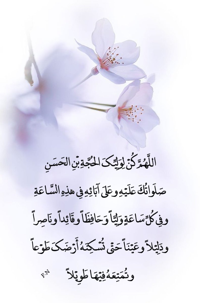 fazel.akbari.mana tweet media