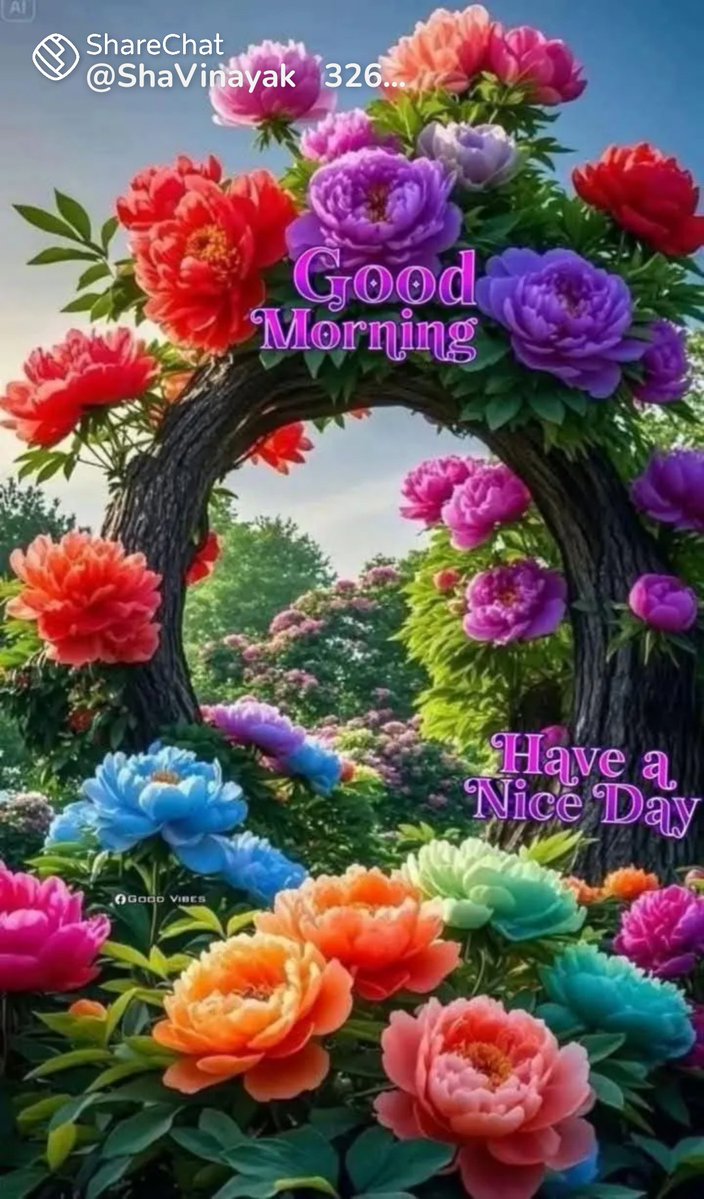 prem103103's tweet photo. @Gul363753611 @NagmaRana3 https://t.co/zEG4ZqfyNc