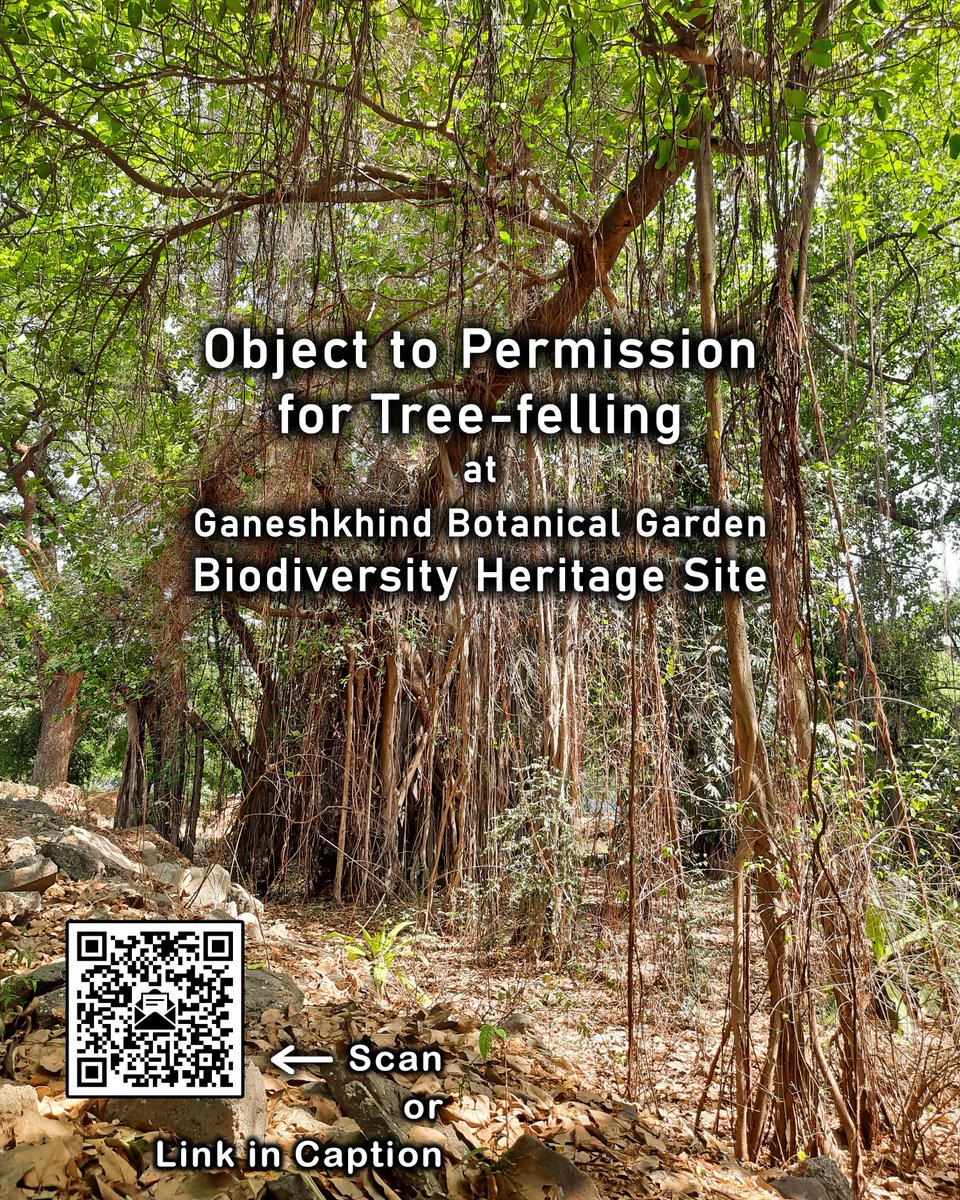 gtitli's tweet photo. 🚨 Save BHS 🌳🪚❗
📣 Object to Permission for Tree-felling in GK BHS
✉️ Send Email : https://t.co/NRV233L9cu ...Please go through the page before sending the email
⚠️ If you have already sent it, please do not send it again
⏰ Deadline: 30 June 2026
Please Share and Spread... 🙏🏽 https://t.co/FppdI0PdYq
