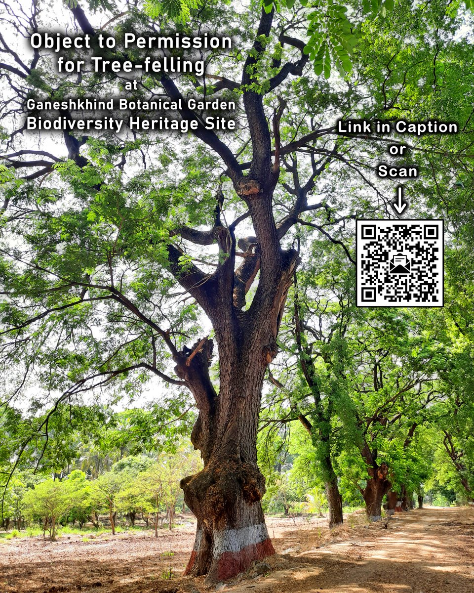 gtitli's tweet photo. 🚨 Save BHS 🌳🪚❗
📣 Object to Permission for Tree-felling in GK BHS
✉️ Send Email : https://t.co/NRV233L9cu ...Please go through the page before sending the email
⚠️ If you have already sent it, please do not send it again
⏰ Deadline: 30 June 2026
Please Share and Spread... 🙏🏽 https://t.co/FppdI0PdYq