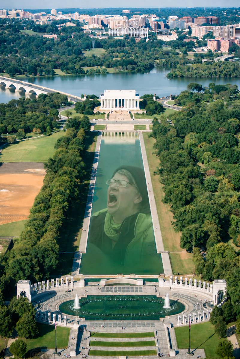 RetardDecoder's tweet photo. Just In 🚨 

An aerial photo has been captured of the algae in the Lincoln Memorial Reflecting Pool. https://t.co/pmCWbRSBqW