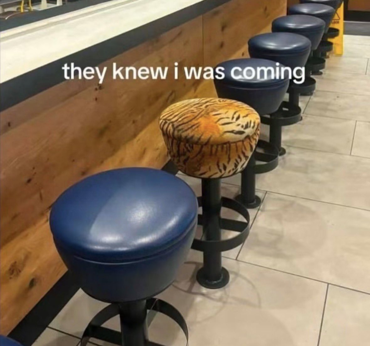 RespectfulMemes's tweet photo. https://t.co/swz1yTLZmh