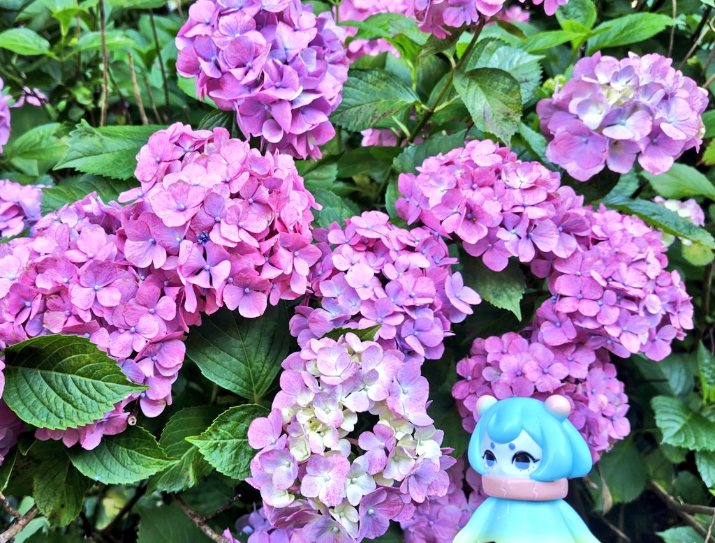 aruku_KINOKO_91 tweet picture