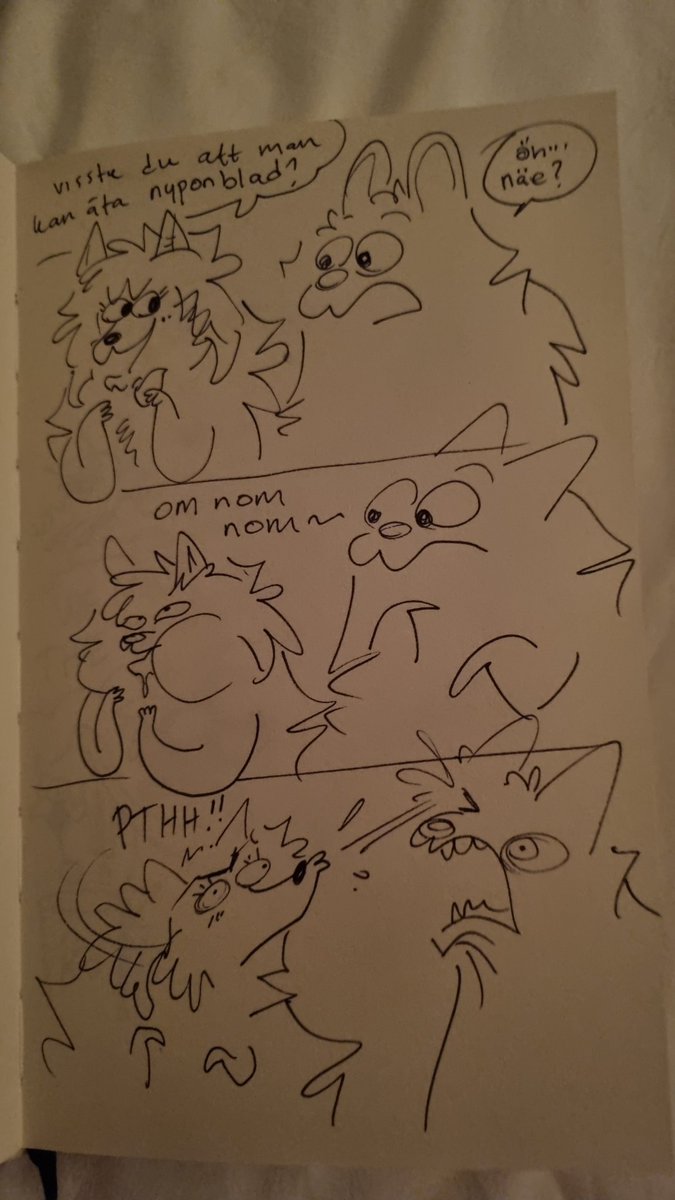 knarkhund's tweet photo. I had such an awesome day and spent it together with @RottenCanines during her vacation in Sweden. ❤️ We doodled together with @Puckofluff and showed our art to @Brown_Wantholf via remote link 😂 here is a few doodles I made https://t.co/mSF2soasVq