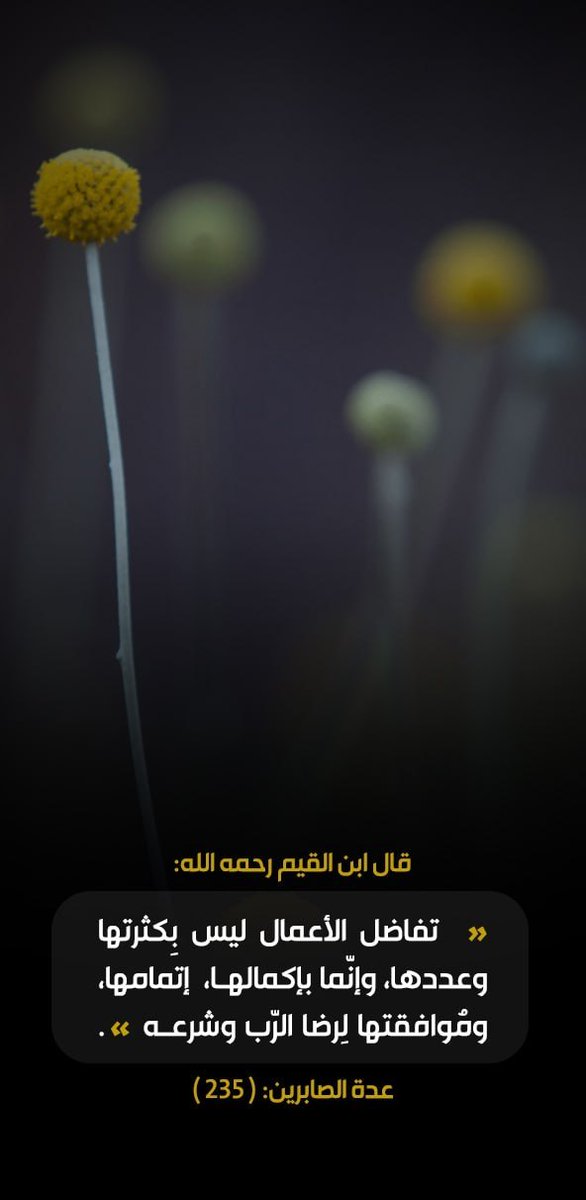 baslabwly1's tweet photo. https://t.co/gqKzssxiGV