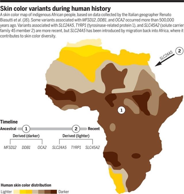 raakssi's tweet photo. @adalitesultan Also if you’re gonna lie and get mad about me calling out your bs, atleast try to cover it up by making the girl the actual average Somali skin tone https://t.co/kGcv9sPK9z
