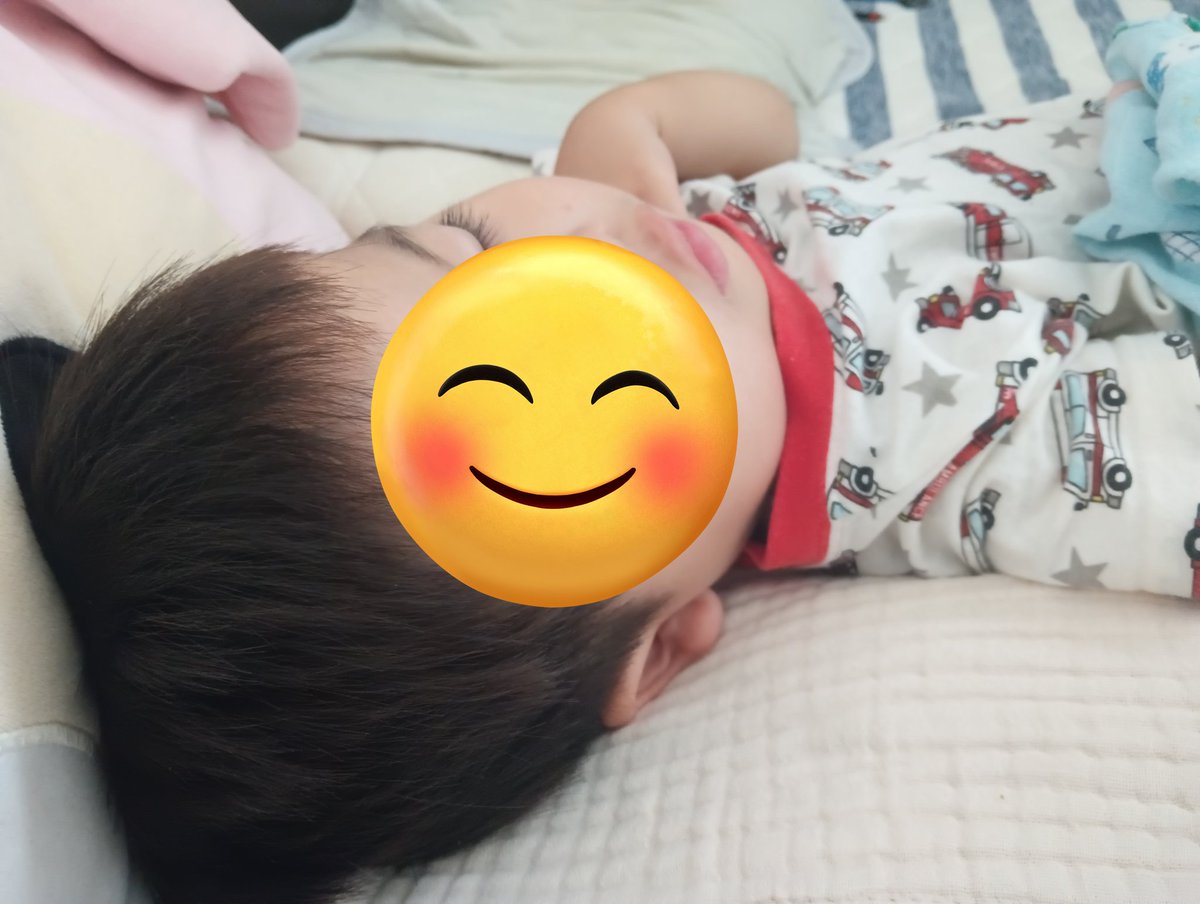 tamacomarket's tweet photo. 出社前の母を癒してくれるちびた（かわいい） https://t.co/3OuFdxIaUf