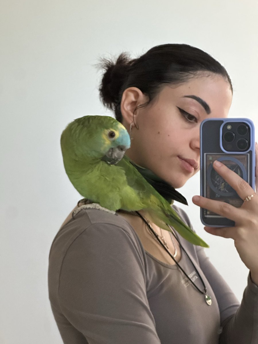 KillerKeeWee's tweet photo. A warm hello from Kiwi and KeeWee :3 https://t.co/v8fR8ICwHl