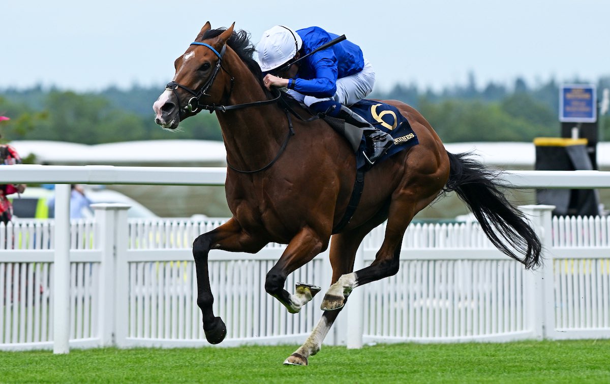 weatherbysltd's tweet photo. An updated pedigree for Ombudsman who was an impressive winner of the Group 1 Prince Of Wales’s Stakes at Royal @Ascot.

The son of champion sire Night Of Thunder @DarleyEurope was bred by James Hanly out of the winning Dansili mare Syndicate - an own-sister to Group winner Runnymede and Listed winner Stipulate (pic).

The colt was purchased by @StroudColeman for 340,000gns from Ballyhimikin Stud @Tattersalls1766 Book 2 in 2022.