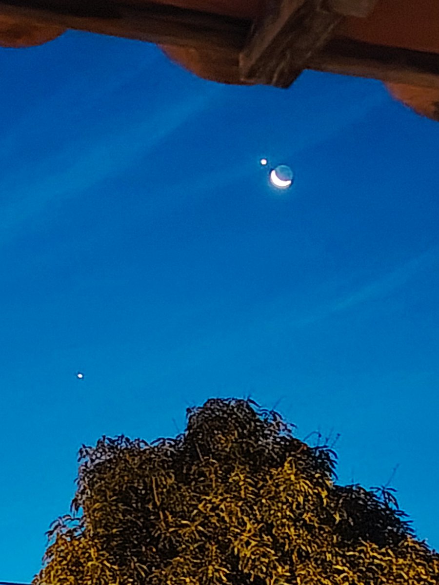 YsapyParaguay's tweet photo. Conjunción de la Luna y Venus, el de abajo quién es?
#Asuncion
#paraguay 🇵🇾 https://t.co/UONRhtOrho