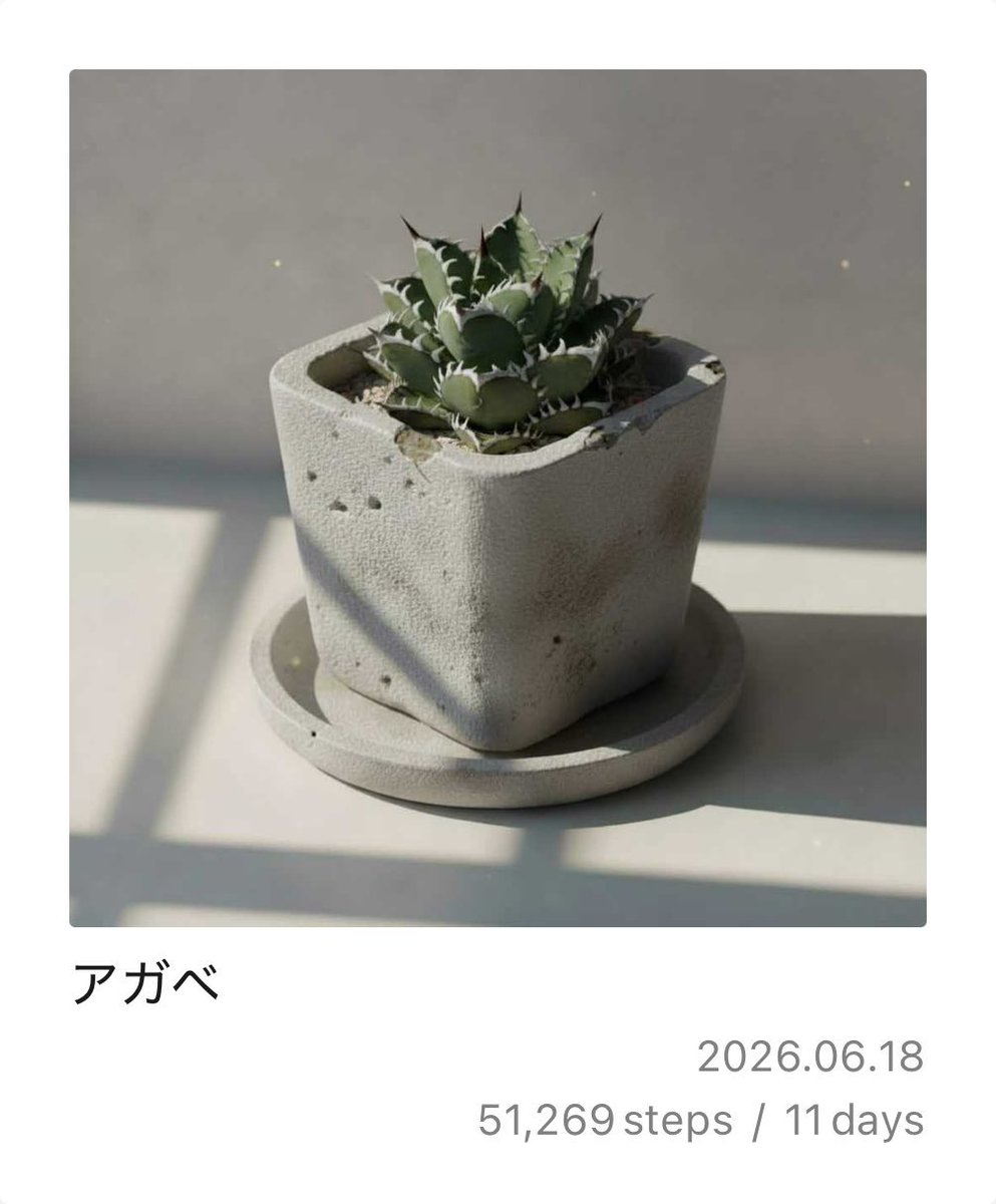 PixelPot アガベが育ったよ！
