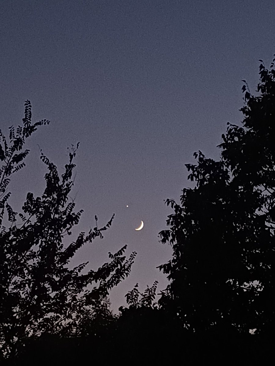 Fiorons1's tweet photo. Serata di astri innamorati!
Bello sentirsi cercati, attesi per un incontro.
...chissà... https://t.co/zZr7qXf37e