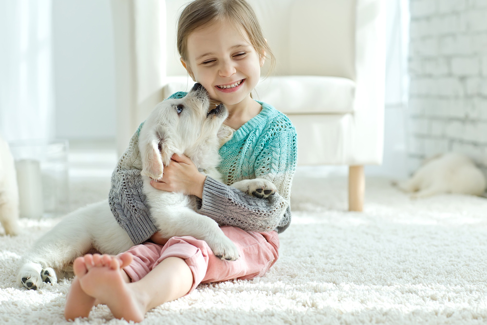EGypsy's tweet photo. Pet Friendly Tips for Your Home Sale https://t.co/8xKnddvUq5 https://t.co/xykgWrNG3A