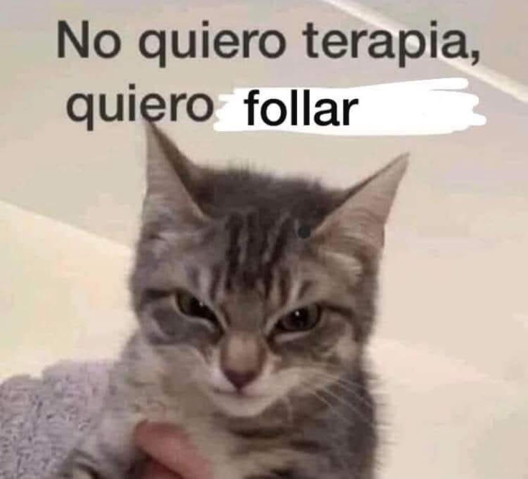 skereunpesado's tweet photo. https://t.co/y3dyUPnjyp