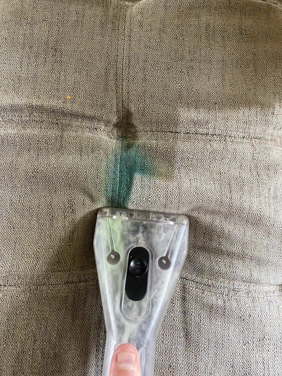 EdsCleaningHI's tweet photo. Hey there! Say goodbye to grimy upholstery because weโre here to work our magic โจ๐ซ Let us handle the dirt and grime while you sit back and relax. Your furniture will thank you! #DeepClean #UpholsteryCleaning #FreshAndClean ๐๏ธ #BigIsland #Hawaii https://t.co/xw9DlAROyp