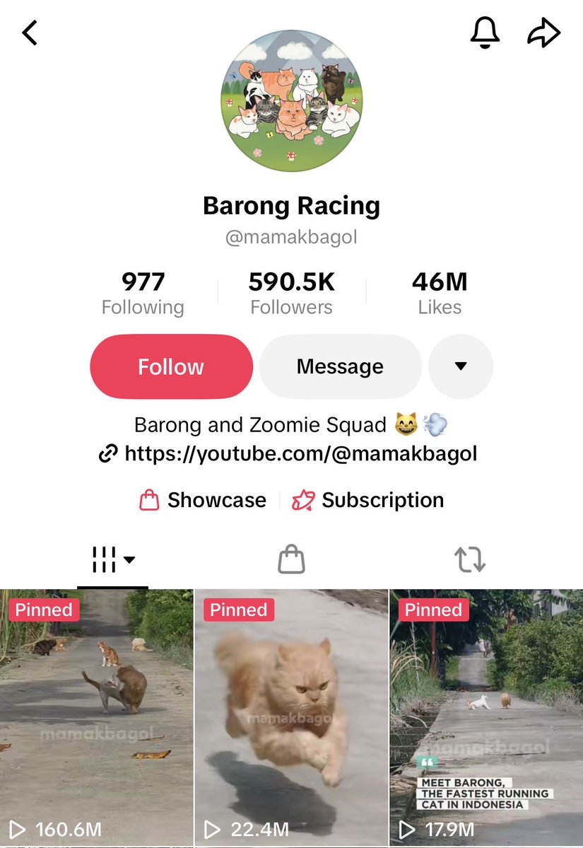 Nashx_'s tweet photo. i like the idea here @solfleece 

no reason why $barong can’t run

timing is everything https://t.co/NCE1qiYUVk