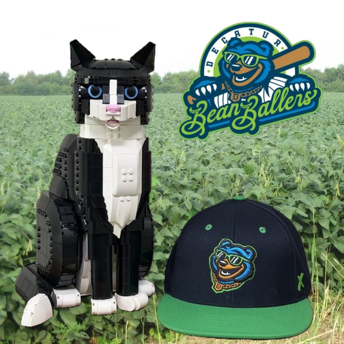hatstorm's tweet photo. Today's #HatoftheDay, with HATS the Lego Cat, is from the Decatur Bean Ballers of the Prospect League.
I believe the Bean Ballers logo is the only one in baseball that includes soybeans!
#DecaturBeanBallers #DecaturIL #ProspectLeague
@DecaturBallers @ProspectLeague https://t.co/QDBLos2AaW