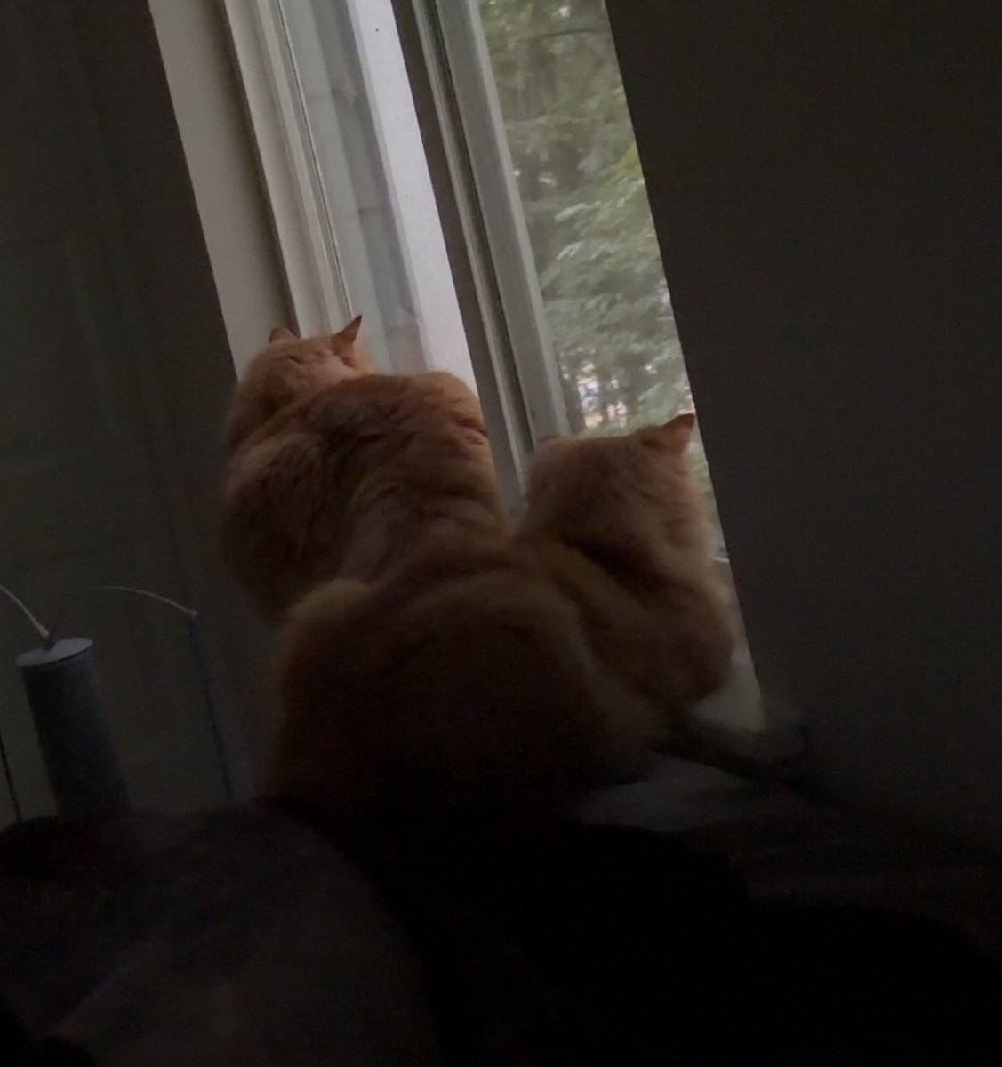 jooshwrld's tweet photo. People watching is their favorite activity https://t.co/wSpxNfEFox