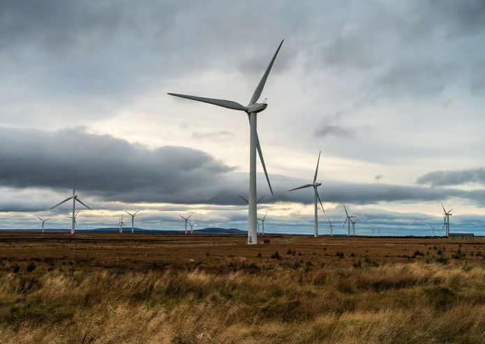 CentroCefe's tweet photo. CEFE Intelego | Renewable energy buyers hold the cards as insurer appetite hits highs, by Mark Rosanes – Insurance Business | https://t.co/4cWZwJAQHC

Referential Photo https://t.co/bur9EgrD7D