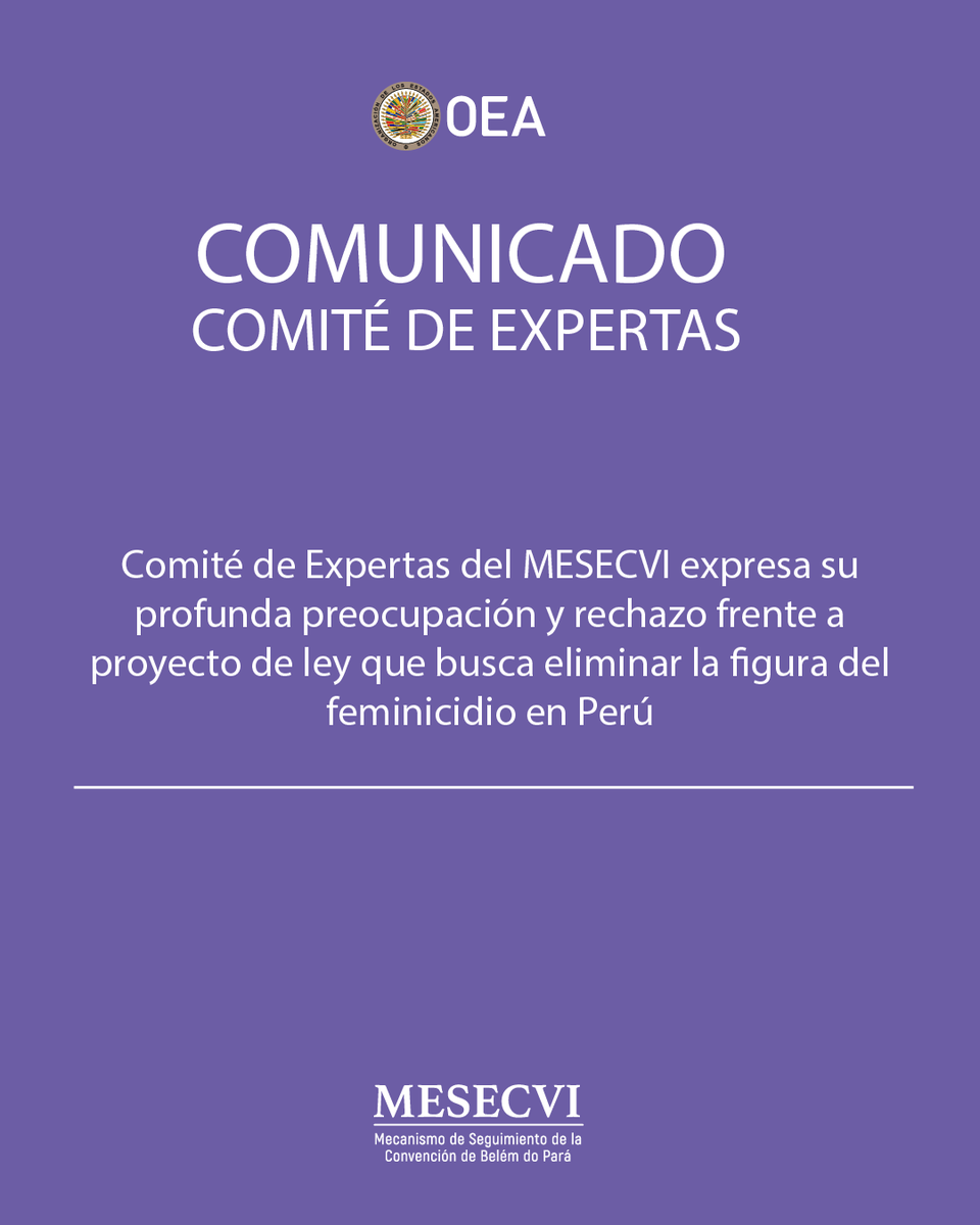 MESECVI's tweet photo. El Comité de Expertas manifiesta su preocupación frente al proyecto de ley que busca eliminar la figura del femicidio en Perú 🇵🇪

🧵⤵️ https://t.co/vYoLeo74uI