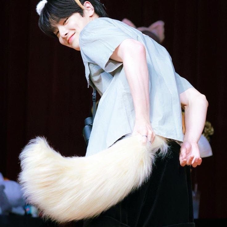 bbokiebin's tweet photo. imie’s fluffy tail is so so pretty…
the way it wags and swooshes around as he eagerly presents himself for chn…the way it twitches and flutters as chn slides in inch by inch…the way it falls flat as imie goes dumb from how full he feels…
it’s chn’s second favorite view…(+) https://t.co/fMBeGi72RQ