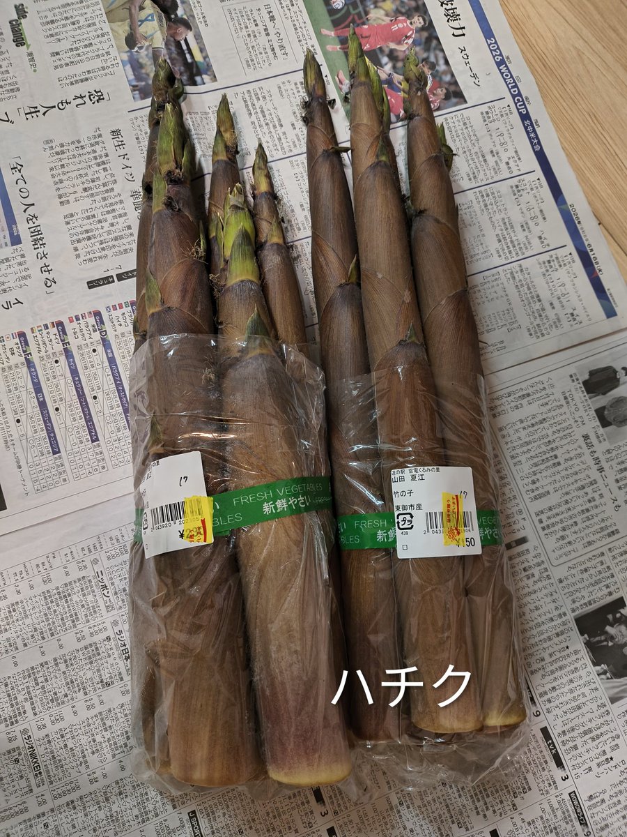 iritter113's tweet photo. 今年は色んなたけのこを食べることができた。
1.関東でたけのこと言えばまず間違いなくコレ、なモウソウチク。
2.モウソウほど見かけないけど、割と一般的なマダケ。
3.神奈川では見かけたことがないハチク。
4.近所の公園に生えていたよくわからない竹（後にトウチクと判明）。 https://t.co/9yMOt7Dmuj