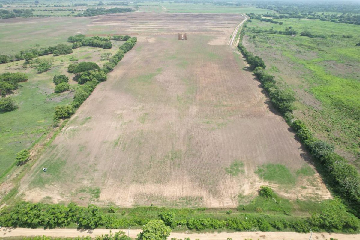SomosVicsa's tweet photo. En Vicsa estamos en campo, evaluando cada detalle del terreno para la construcción de una nueva empacadora.  
Analizamos topografía, drenajes, accesos y distribución para diseñar una obra eficiente, funcional y adaptada a las necesidades del proyecto. https://t.co/LR1pR0kXCm