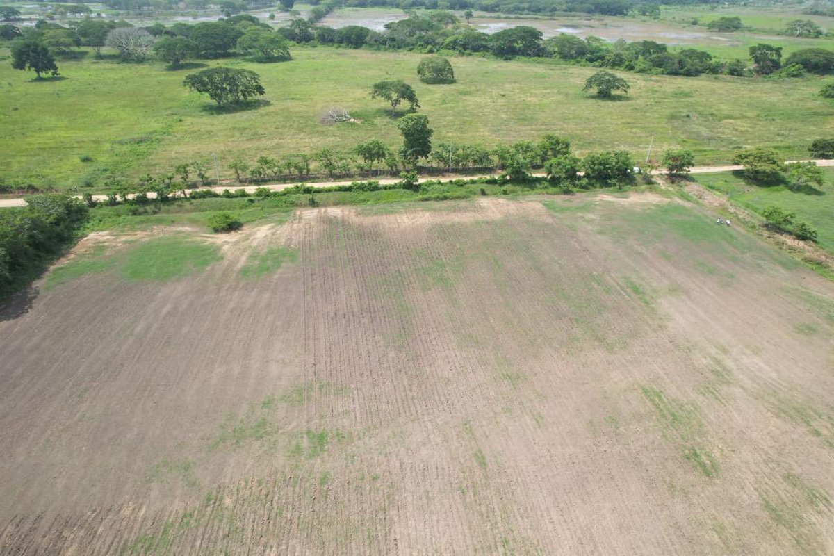 SomosVicsa's tweet photo. En Vicsa estamos en campo, evaluando cada detalle del terreno para la construcción de una nueva empacadora.  
Analizamos topografía, drenajes, accesos y distribución para diseñar una obra eficiente, funcional y adaptada a las necesidades del proyecto. https://t.co/LR1pR0kXCm