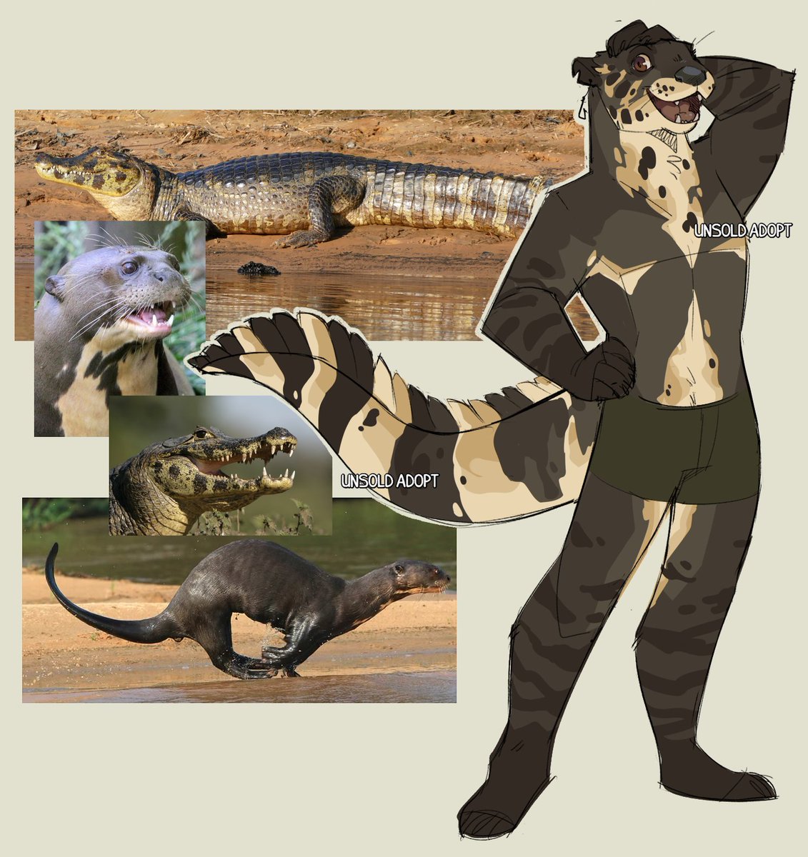 dozakeet's tweet photo. Giant amazon otter x Caiman 
Do you fw him (fish with him)? 🎣🐊 https://t.co/ofwPowRihg