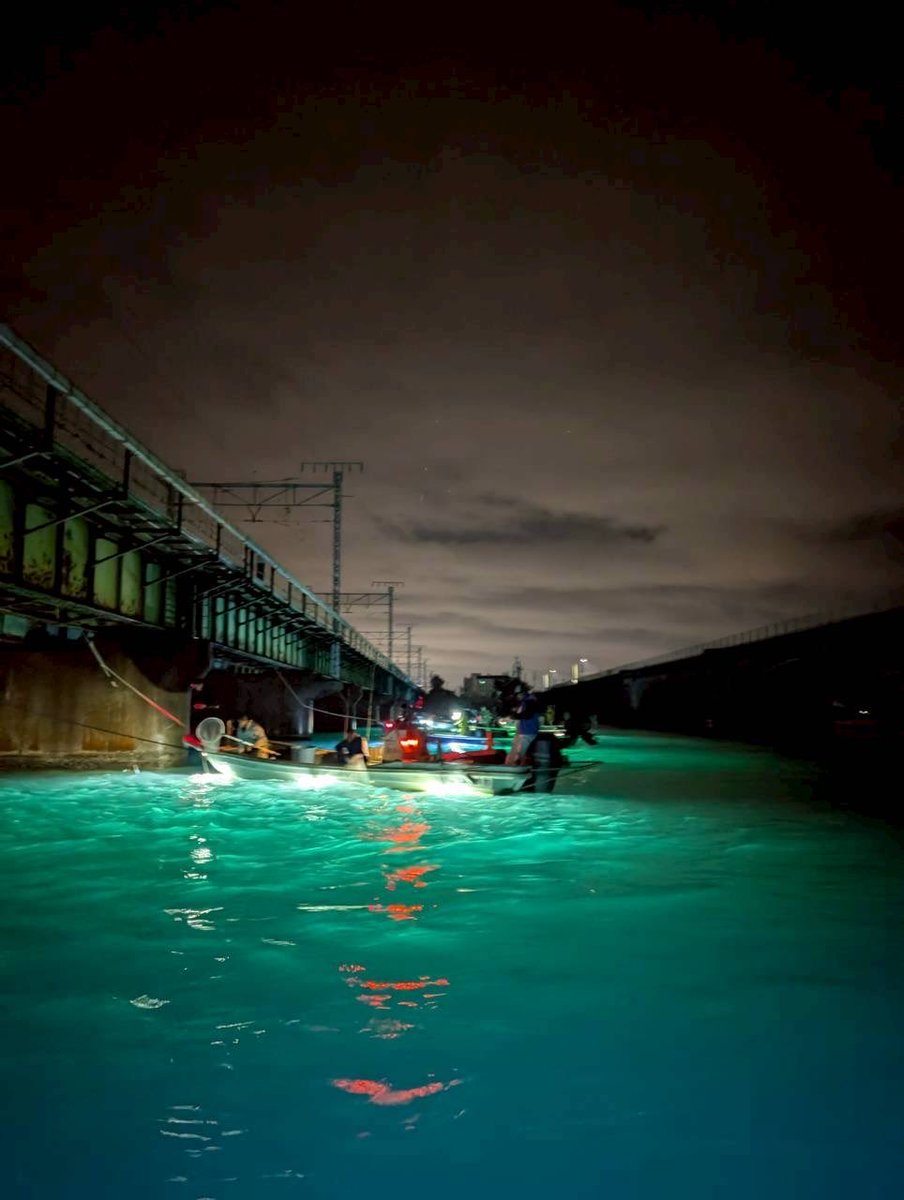 FA_aichi's tweet photo. 浜名湖の夜遊びといえば…
『#えびすき 』
下潮の時に流れてくる車海老やカニをすくうこの漁は夜に行われます❤️
最初潮がきかず、焦ったけど最後は何とか形になりました✨
びっくりは仲間がドウマン🦀をキャッチ
今年は多いみたい😍また行きたいな🐟
マダカも増えてきたみたい🎣 https://t.co/7v0IlHvgoP