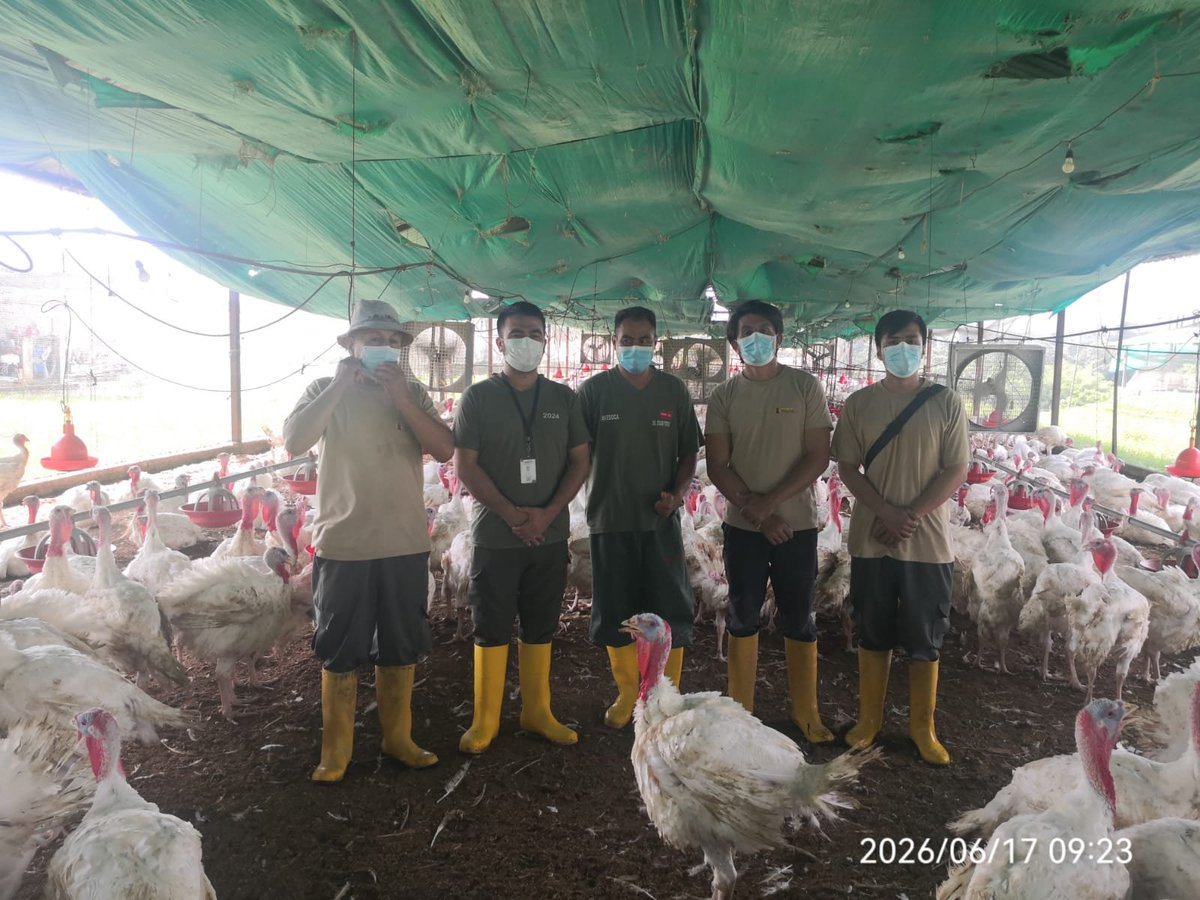 AgrocalidadZ4's tweet photo. #SantoDomingo | Realizamos auditoría de certificación en Buenas Prácticas Agropecuarias 🦃🌱 en una granja de pavos del sector Río Baba, parroquia Luz de América; verificando el cumplimiento de la normativa vigente y la producción de alimentos inocuos.
#ProtegemosLoQueConsumes https://t.co/E4ptaJzsqt
